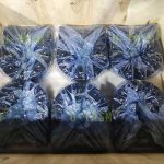 需要手動(dòng)操作而配套延長軸和手輪的回轉(zhuǎn)驅(qū)動(dòng)